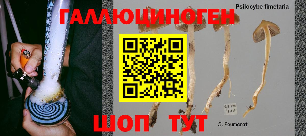 Галлюциногенные грибы мухоморы Чапаевск