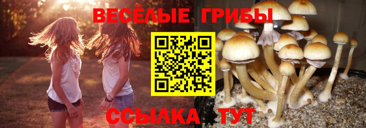 Галлюциногенные грибы ЛСД  Вход с VPN  Чапаевск 